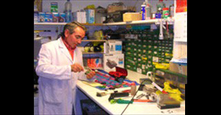 REPARACIONES9 REPARACIONES9